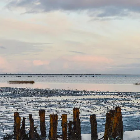 펜션 Fyrvej Romo Iii